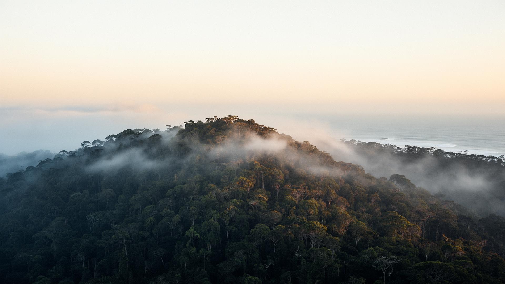 A terra que deixou de ser terra
